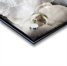V900 Acrylic print
