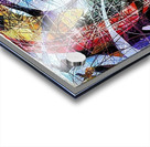 V903 Acrylic print