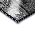 V920 Acrylic print