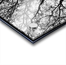 V970 Acrylic print