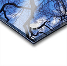 V971 Acrylic print
