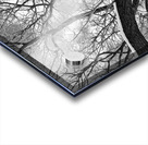 V972 Acrylic print