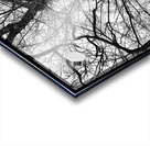 V973 Acrylic print