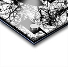 V975 Acrylic print