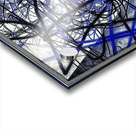 V981 Acrylic print