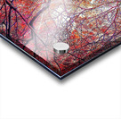V995 Acrylic print