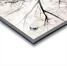 V996 Acrylic print