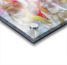 V999 Acrylic print