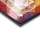V1000 Acrylic print