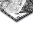 V1003 Acrylic print