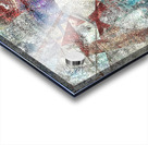 V1007 Acrylic print