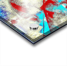 V1009 Acrylic print