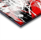 V1033 Acrylic print