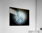 V1048 Acrylic Print