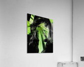 V1056 Acrylic Print