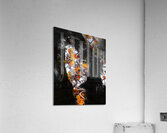 V1058 Acrylic Print