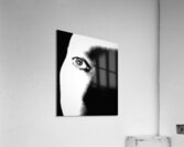 V1059 Acrylic Print
