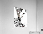 V1060 Acrylic Print