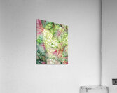 V1061 Acrylic Print