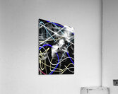 V1064 Acrylic Print