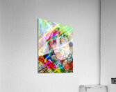 V1065 Acrylic Print