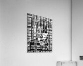 V1067 Acrylic Print