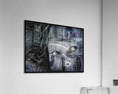 V1072 Acrylic Print