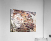 V1075 Acrylic Print