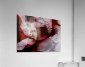 V1077 Acrylic Print