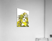 V1078 Acrylic Print