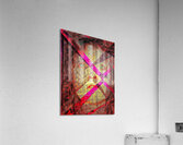 V1080 Acrylic Print