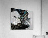 V1081 Acrylic Print