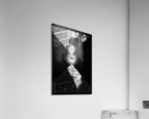 V1082 Acrylic Print
