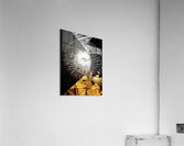 V1083 Acrylic Print