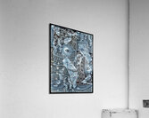 V1086 Acrylic Print