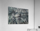 V1088 Acrylic Print