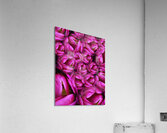 V1099 Acrylic Print