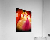 V1101 Acrylic Print