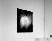 V1102 Acrylic Print