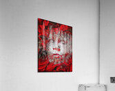 V1108 Acrylic Print