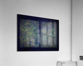 V1116 Acrylic Print