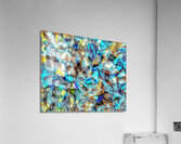 V1140 Acrylic Print
