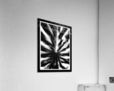 V1143 Acrylic Print