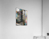 V1146 Acrylic Print