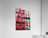 V1153 Acrylic Print