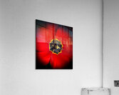 V1163 Acrylic Print