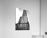 V1172 Acrylic Print