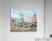 V1173 Acrylic Print