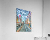 V1175 Acrylic Print