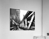 V1176 Acrylic Print